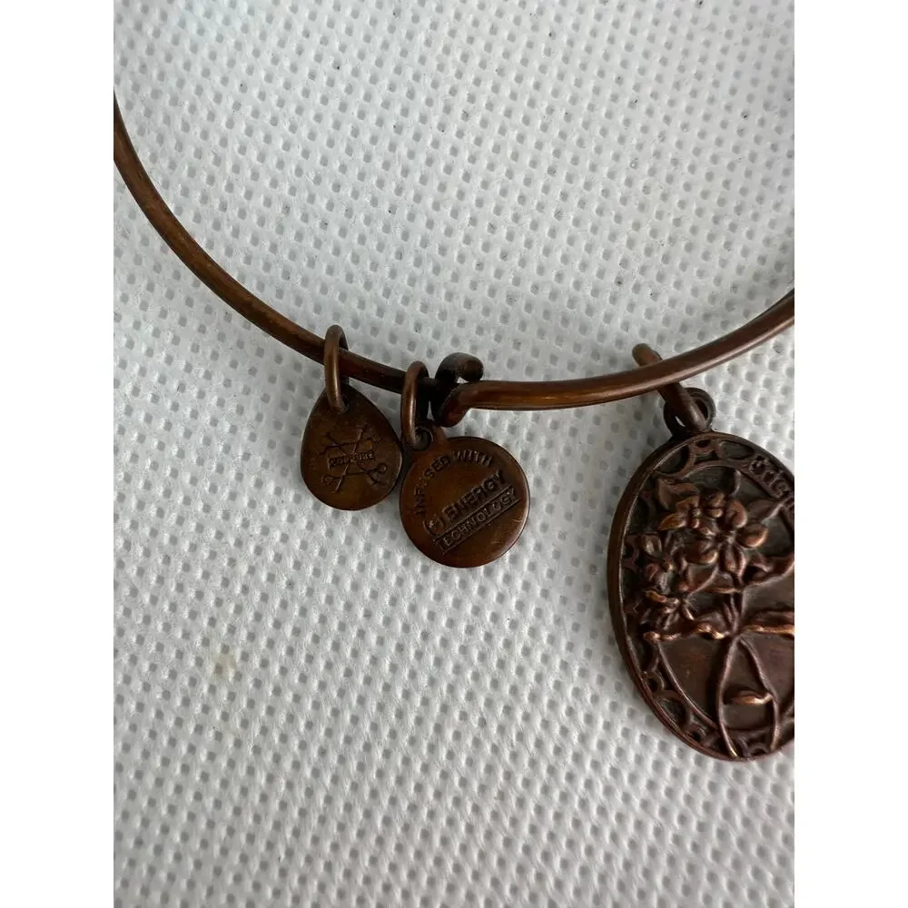Alex and Ani great preowned
